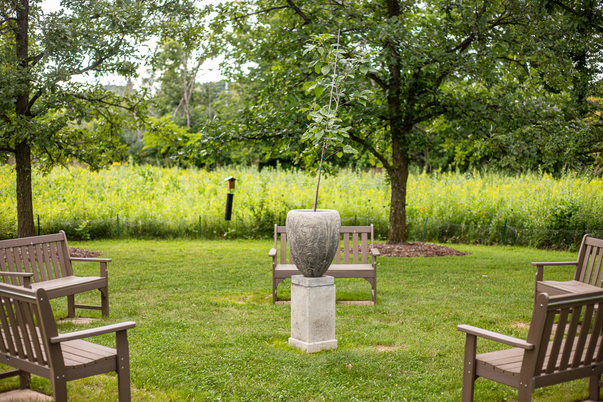 3200 West Bonniwell Road Mequon, WI 53097 - Photo 67 of 77 Annual new sapling! An almost overwhelmingly peaceful place for quiet reflection.