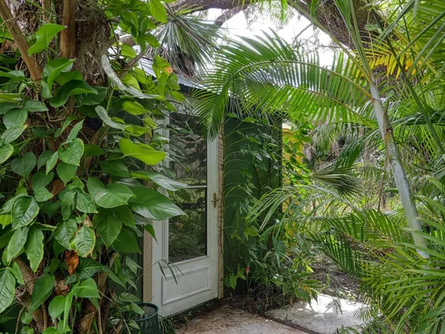a view of a backyard with a tub