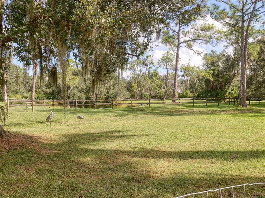 4708 Hidden River Road Sarasota, FL 34240 - Photo 54 of 67 a view of a swimming pool with a lawn chairs under an umbrella