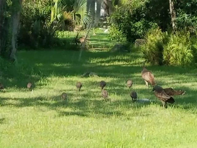 $9,000 | 4708 Hidden River Road, Sarasota, FL 34240