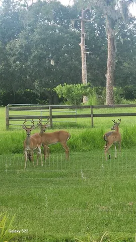 $9,000 | 4708 Hidden River Road, Sarasota, FL 34240