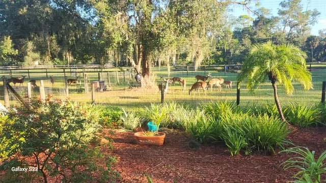 $9,000 | 4708 Hidden River Road, Sarasota, FL 34240