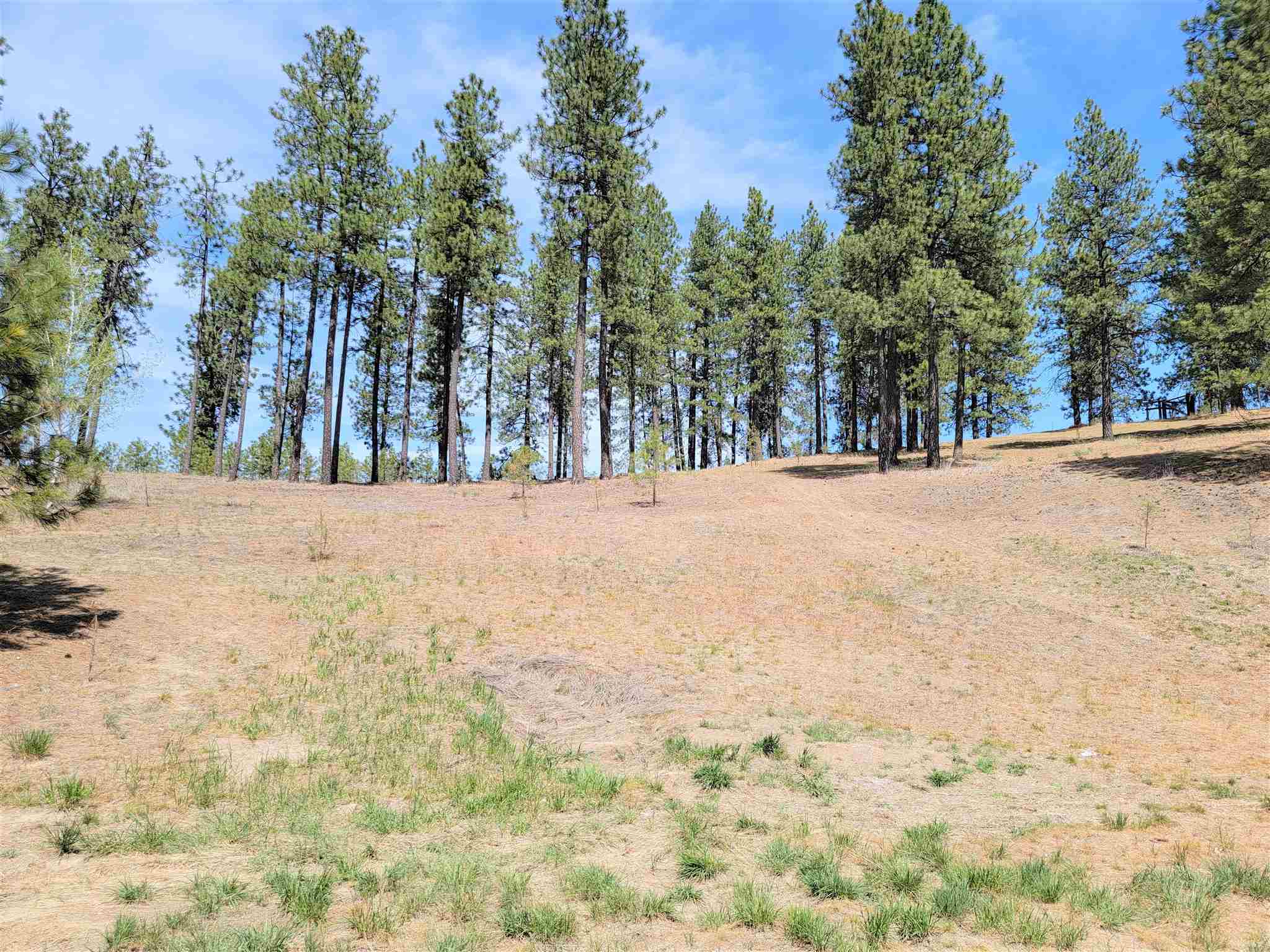 6102 North Rambo Road Spokane, WA 99224 - Photo 28 of 32