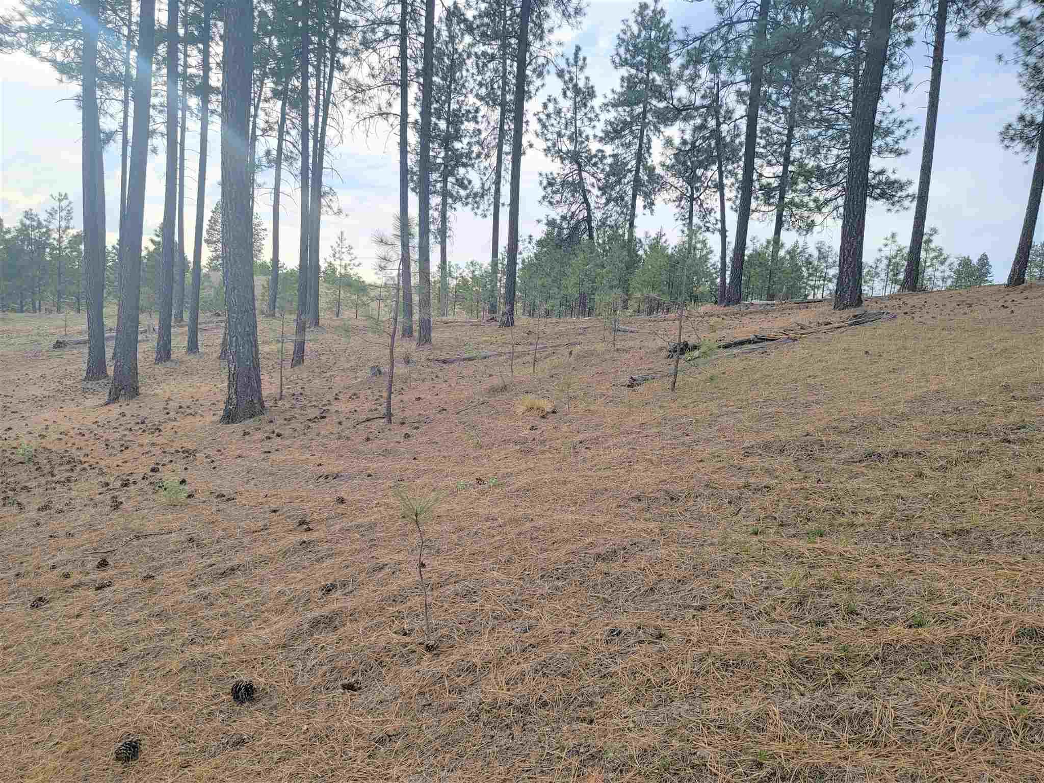 6102 North Rambo Road Spokane, WA 99224 - Photo 30 of 32