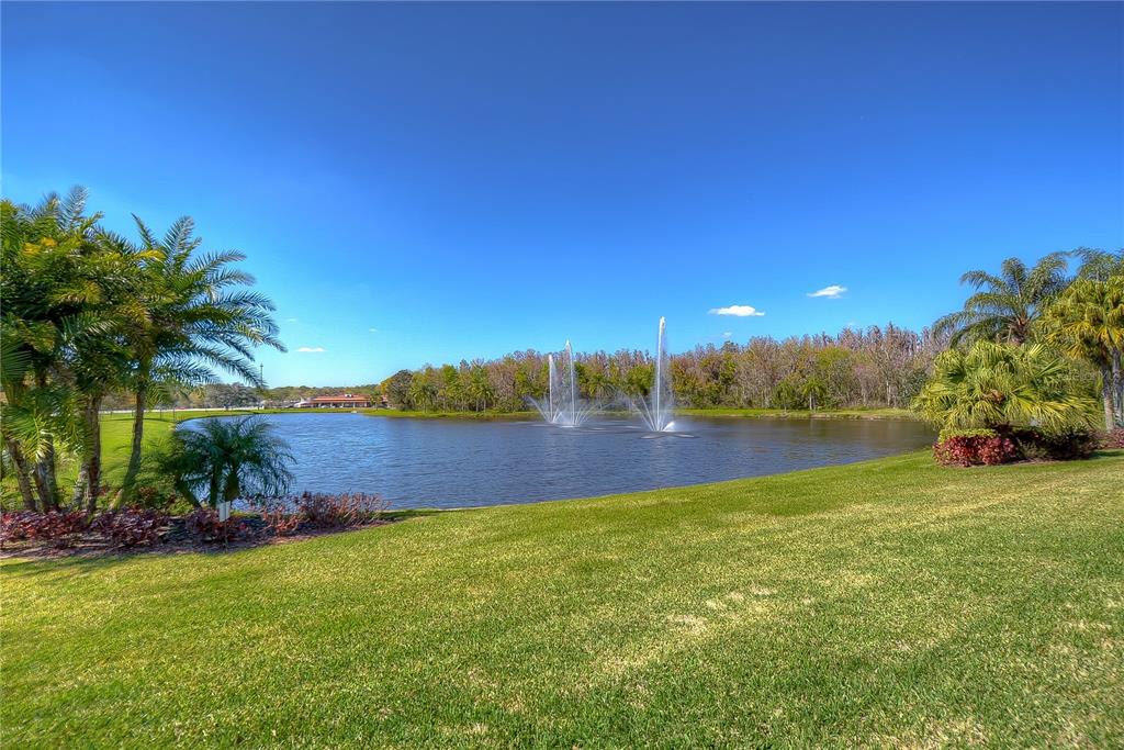 3408 Fox Squirrel Lane Valrico, FL 33596 - Photo 35 of 39