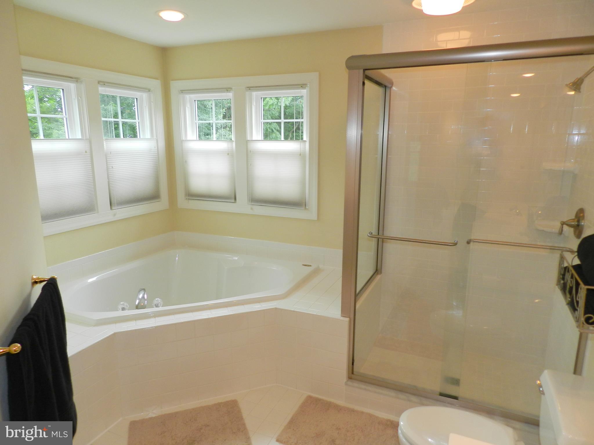 20006 Hickman Way Poolesville, MD 20837 - Photo 19 of 30 New windows and shower enclosure