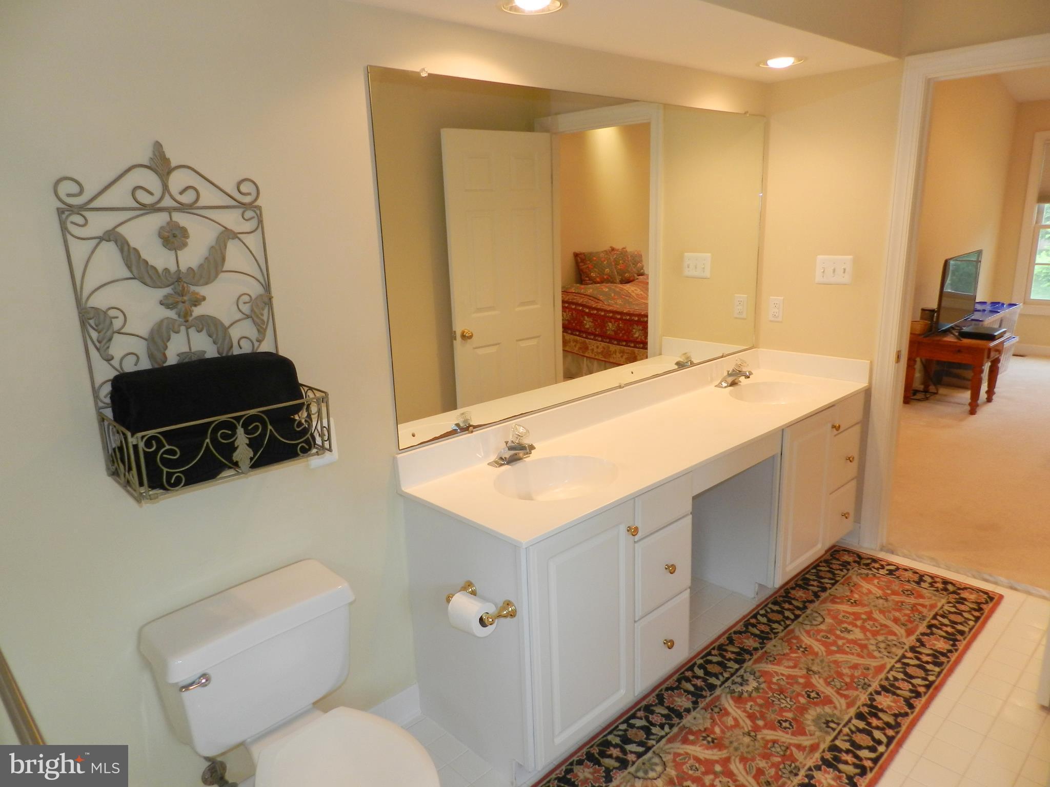 20006 Hickman Way Poolesville, MD 20837 - Photo 20 of 30 Double sinks of course!