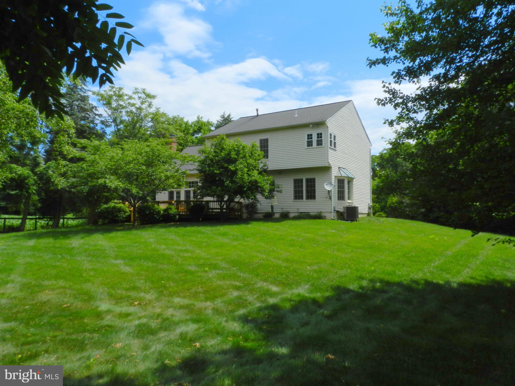 Level and private backyard!