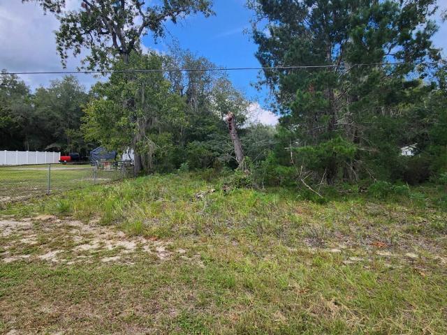 234 1st Way Interlachen, FL 32148 - Photo 3 of 3 IMG_8611
