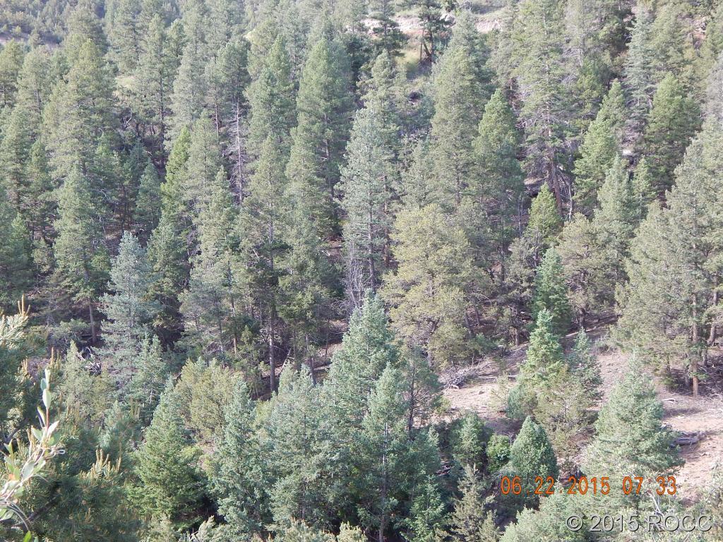 1578 Lower Camp Road Salida, CO 81201 - Photo 6 of 23 Gallery Image 6