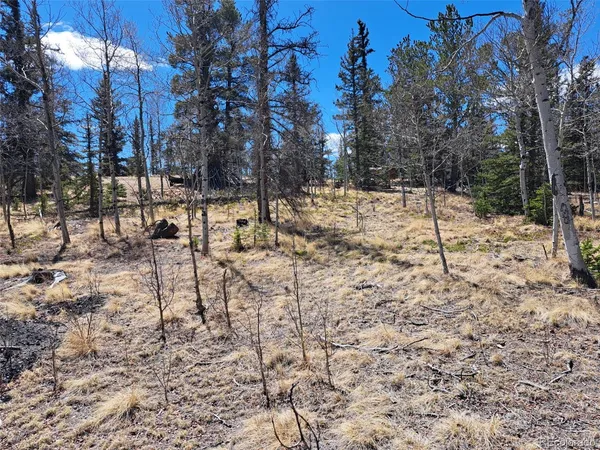 $34,375 | 730 Tepee Trail, Como, CO 80456