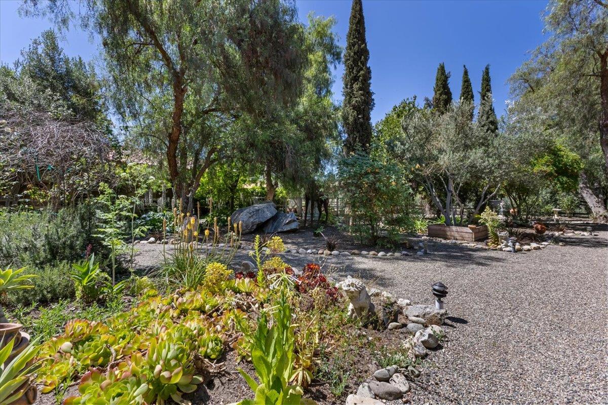 2727 Thomas Road Hollister, CA 95023 - Photo 42 of 83 a view of a yard with plants and trees