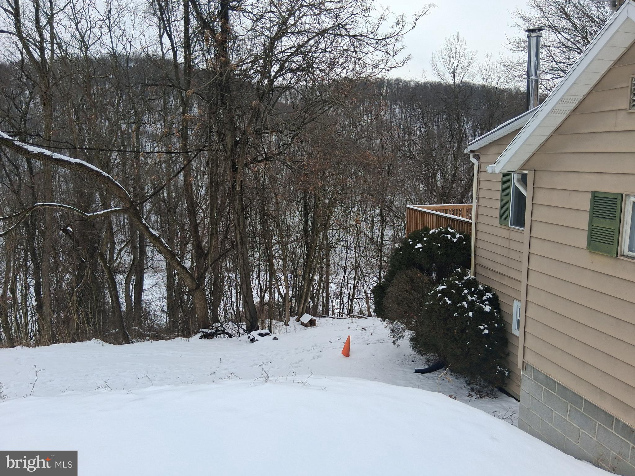 265 View Street Johnstown, PA 15902 - Photo 63 of 64 Serene winter retreat amidst snowy woods.