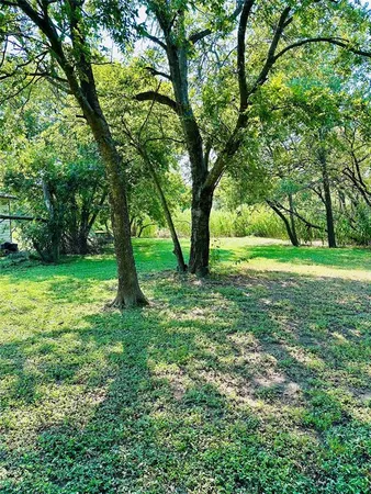 a view of a lush green space