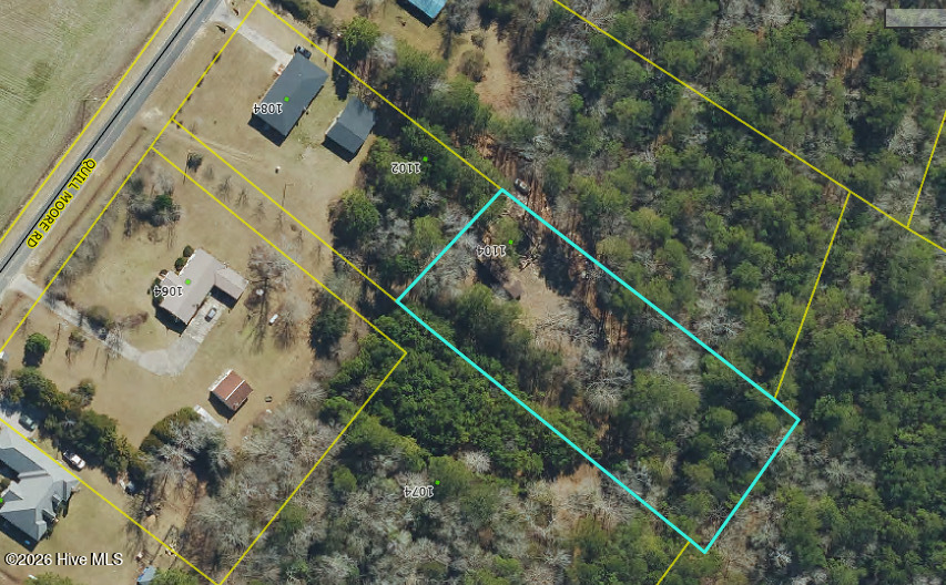1104 Quill Moore Road Clarkton, NC 28433 - Photo 3 of 3 Bladen GIS