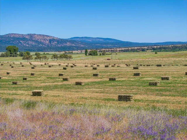 $1,500,000 | 540-775 Pittville Road, McArthur, CA 96056