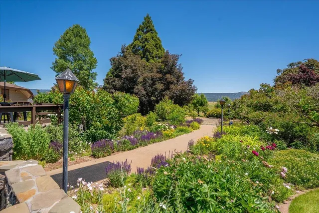 a view of an ocean from a city