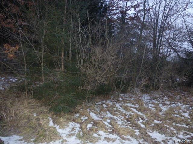 6 Jones Road North Branch, MI 48461 - Photo 1 of 14 Gallery Image 1