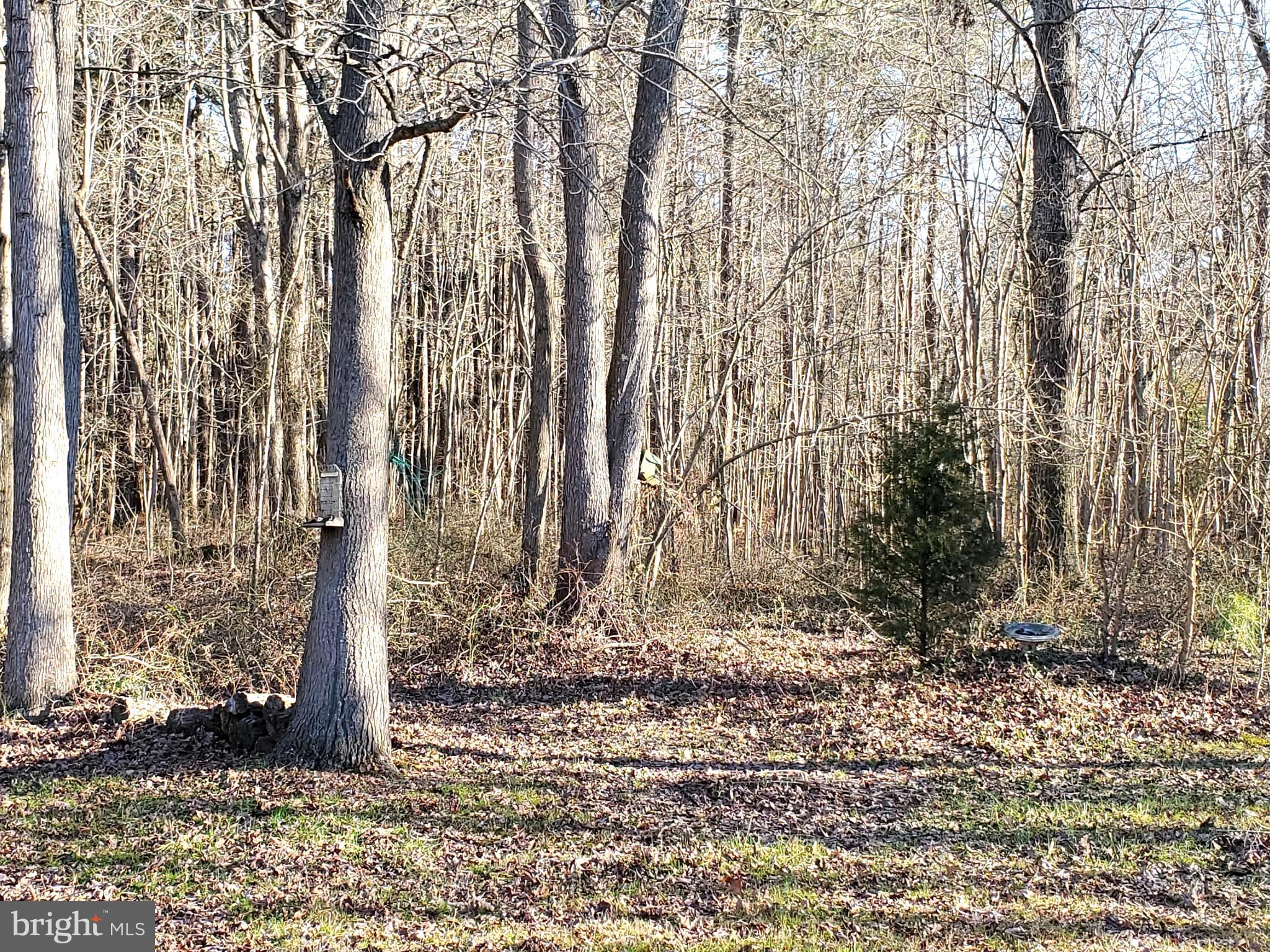 1971 Church Creek Road Cambridge, MD 21613 - Photo 12 of 35 Adjoining Property To Rear