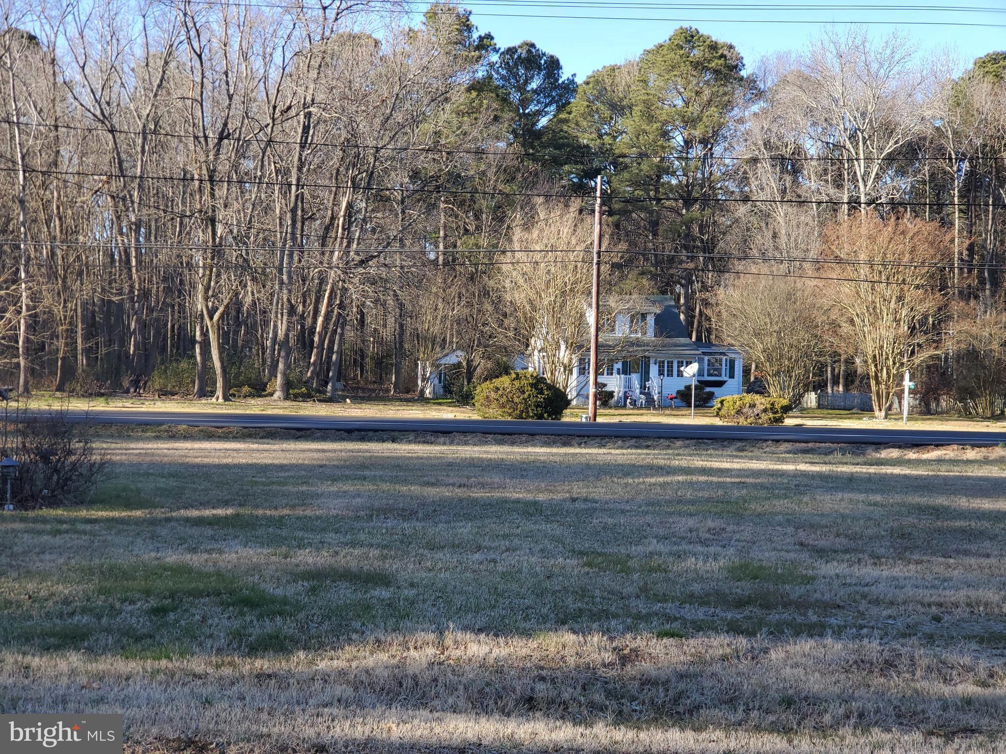 1971 Church Creek Road Cambridge, MD 21613 - Photo 13 of 35 View To Road