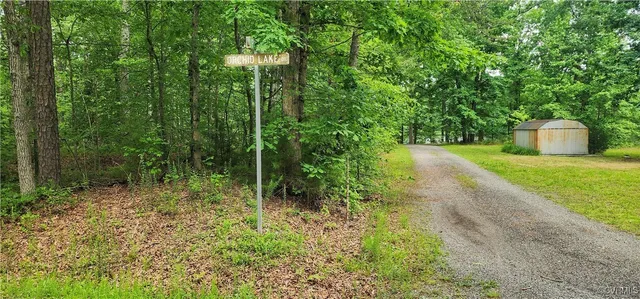 a view of a yard with a trees in the background