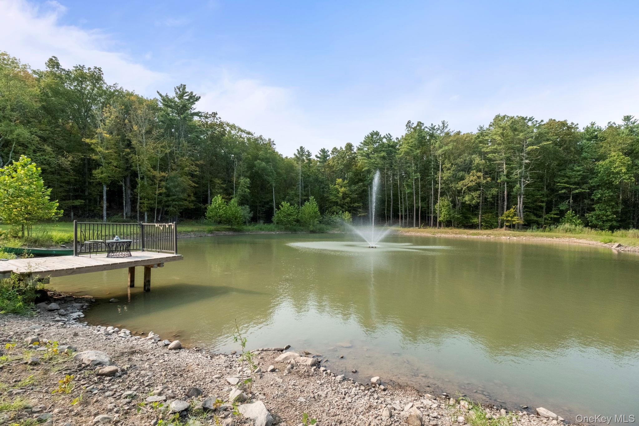 174 Webber Road Coxsackie, NY 12058 - Photo 44 of 50 a view of a swimming pool with a yard
