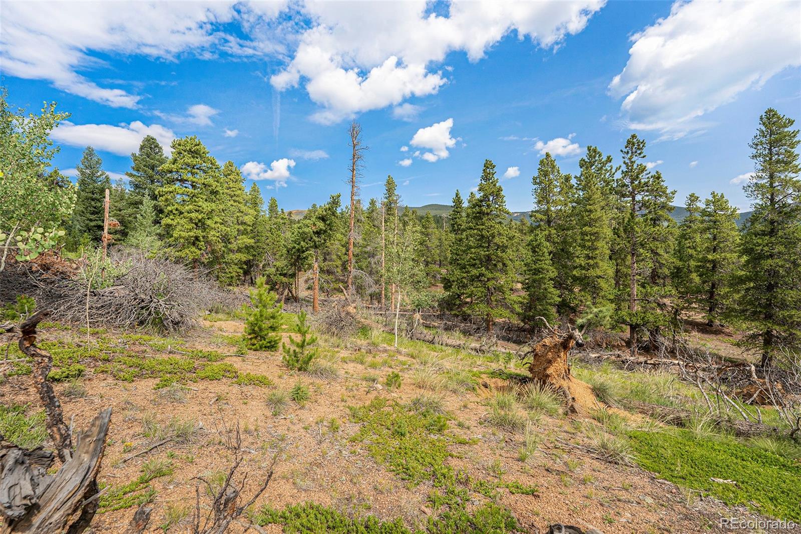Ridge Lane Bailey, CO 80421 - Photo 4 of 20 Gallery Image 4