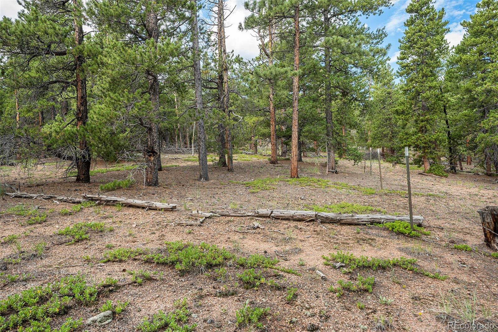 Ridge Lane Bailey, CO 80421 - Photo 6 of 20 Gallery Image 6