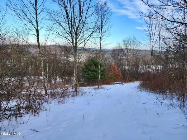 $225,000 | L15 State Route 22, Salem, NY 12865