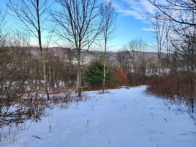 $225,000 | L15 State Route 22, Salem, NY 12865