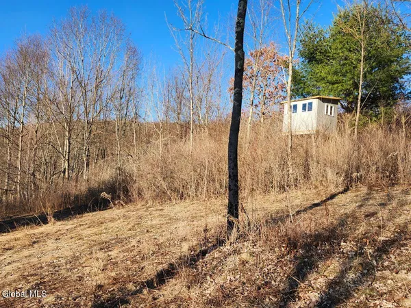 $225,000 | L15 State Route 22, Salem, NY 12865