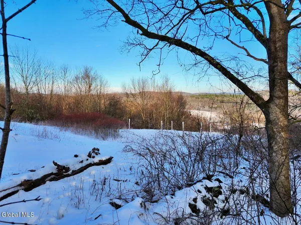 $225,000 | L15 State Route 22, Salem, NY 12865