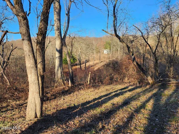 $225,000 | L15 State Route 22, Salem, NY 12865