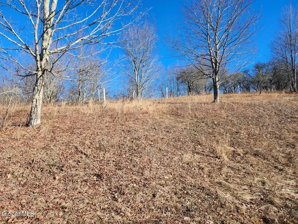 $225,000 | L15 State Route 22, Salem, NY 12865