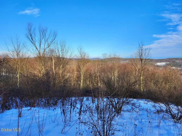 $225,000 | L15 State Route 22, Salem, NY 12865