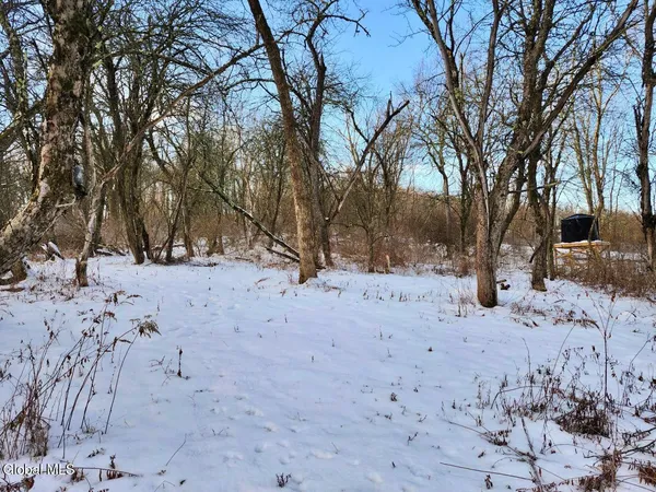 $225,000 | L15 State Route 22, Salem, NY 12865