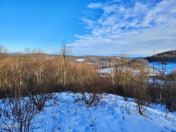 $225,000 | L15 State Route 22, Salem, NY 12865