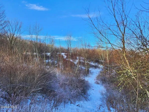 $225,000 | L15 State Route 22, Salem, NY 12865