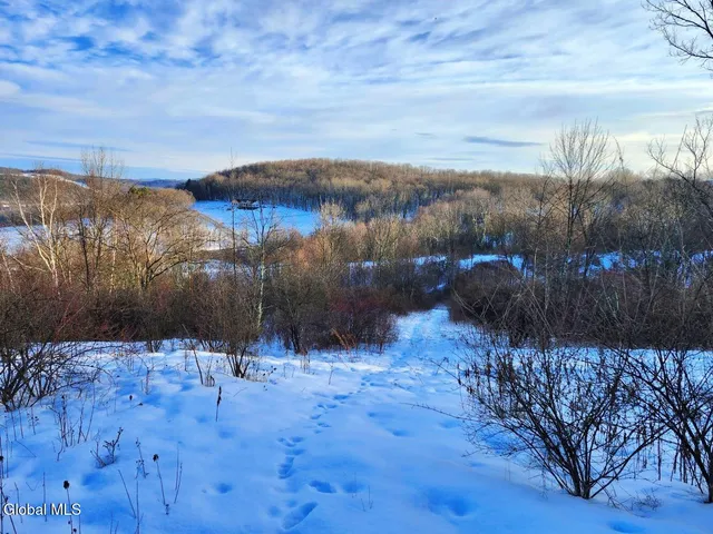 $225,000 | L15 State Route 22, Salem, NY 12865