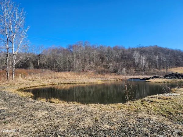 $225,000 | L15 State Route 22, Salem, NY 12865