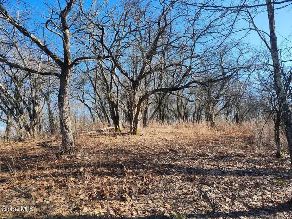 $225,000 | L15 State Route 22, Salem, NY 12865