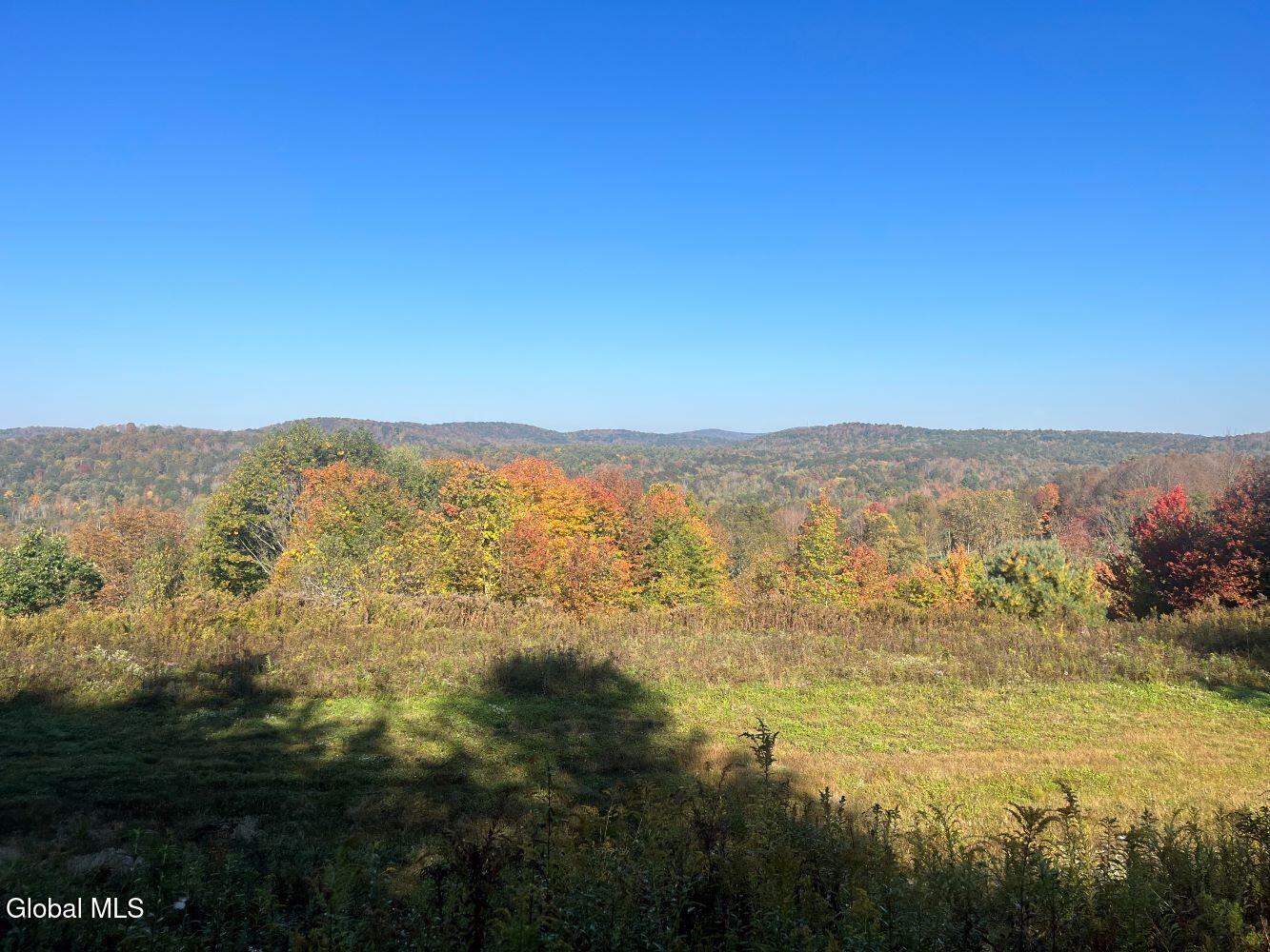 L15 State Route 22 Salem, NY 12865 - Photo 3 of 42 4