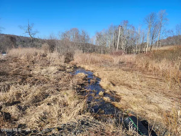 $225,000 | L15 State Route 22, Salem, NY 12865