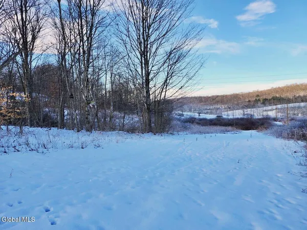 $225,000 | L15 State Route 22, Salem, NY 12865