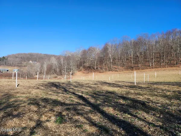 $225,000 | L15 State Route 22, Salem, NY 12865