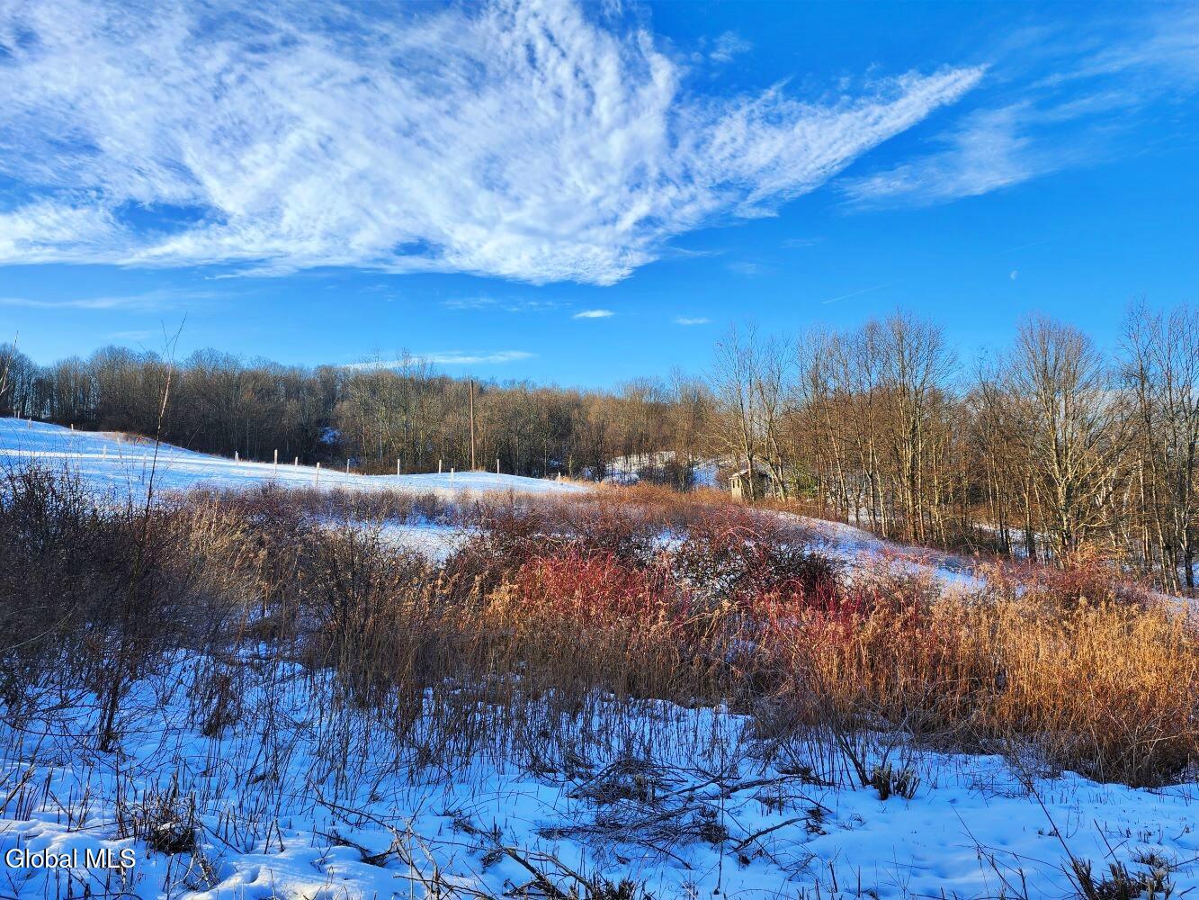 L15 State Route 22 Salem, NY 12865 - Photo 34 of 42 20260109_092105