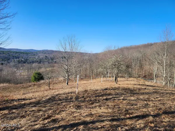 $225,000 | L15 State Route 22, Salem, NY 12865