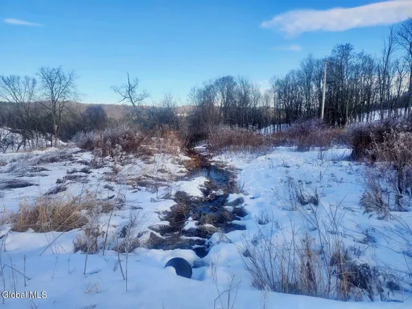 $225,000 | L15 State Route 22, Salem, NY 12865