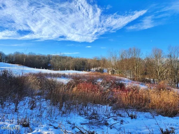 $225,000 | L15 State Route 22, Salem, NY 12865