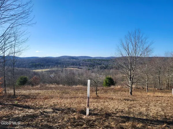 $225,000 | L15 State Route 22, Salem, NY 12865